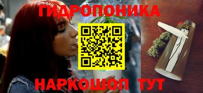 молекула духа Лесосибирск
