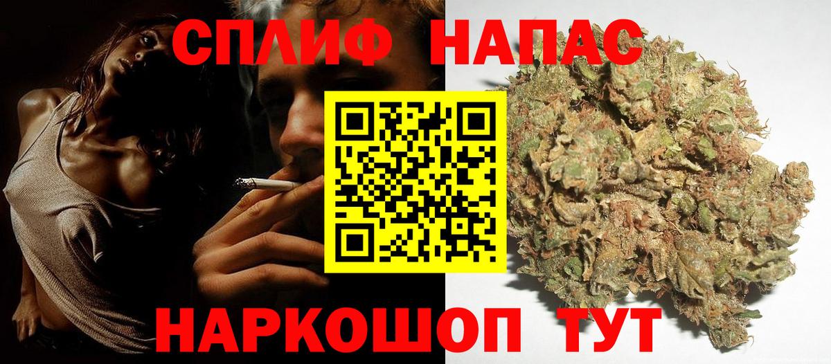 Бошки марихуана гибрид  Каннабис MAZAR  Марихуана THC 21%  Вход с VPN  Фрязино 